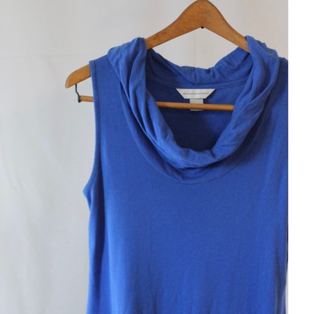 Christopher & bank’s sleeves cowl neck comfortable minimalist spring blue dress